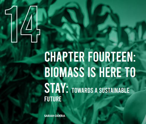 SIDinAfrica's tweet photo. #EnergyForWhat Chapter of the week:
Defying conventional wisdom, Sarah Odera argues biomass energy is here to stay. But can it grow faster than it is used?
Read more here: https://t.co/WVzGFVlxa7
#EnergyFuturesEA @HBSNairobi https://t.co/V68vlyu4GS