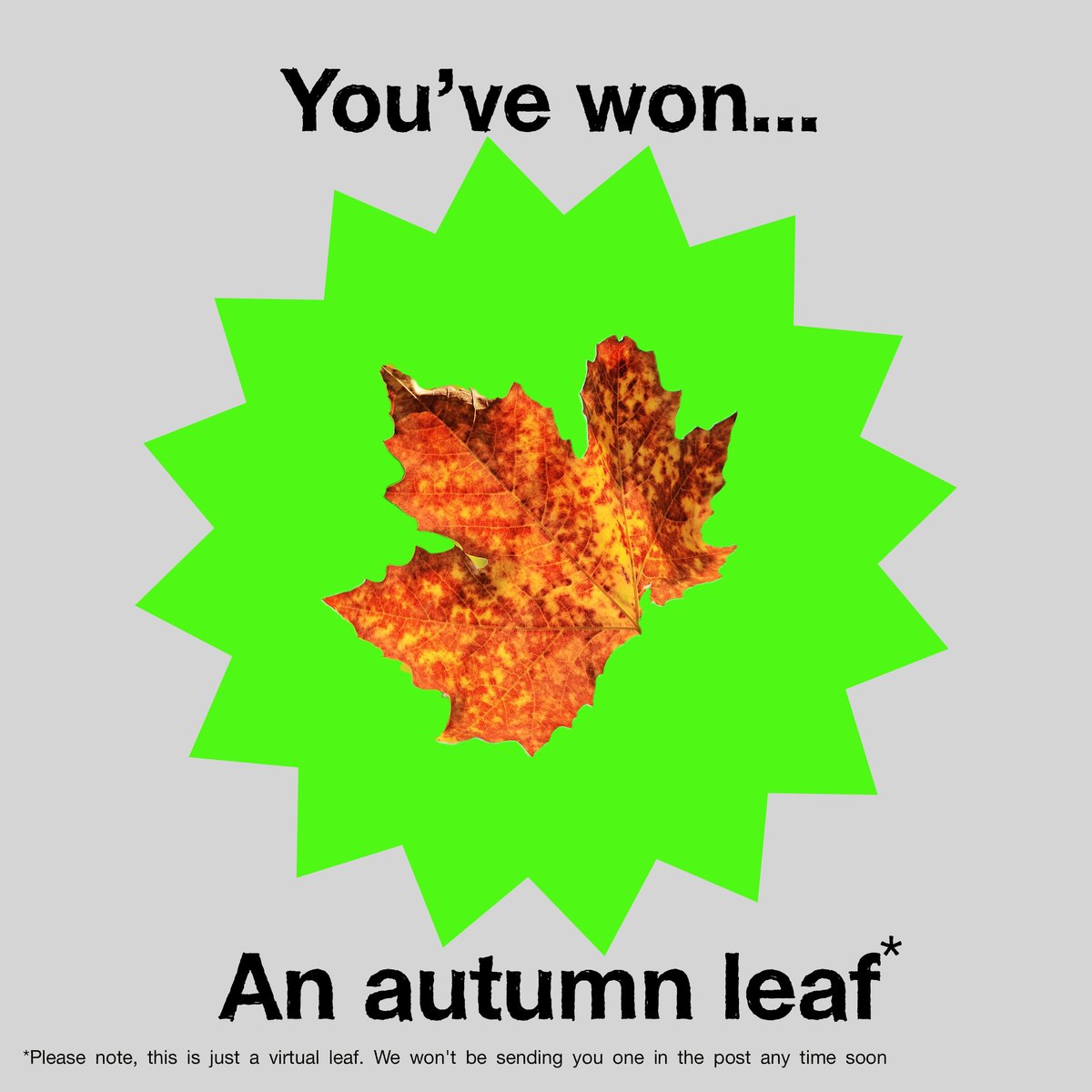 FrankFreePrize's tweet photo. @nptwildlife Congratulations! Here's your FREE prize for visiting https://t.co/7IyDGVCfvI https://t.co/OhwOtDWpOm