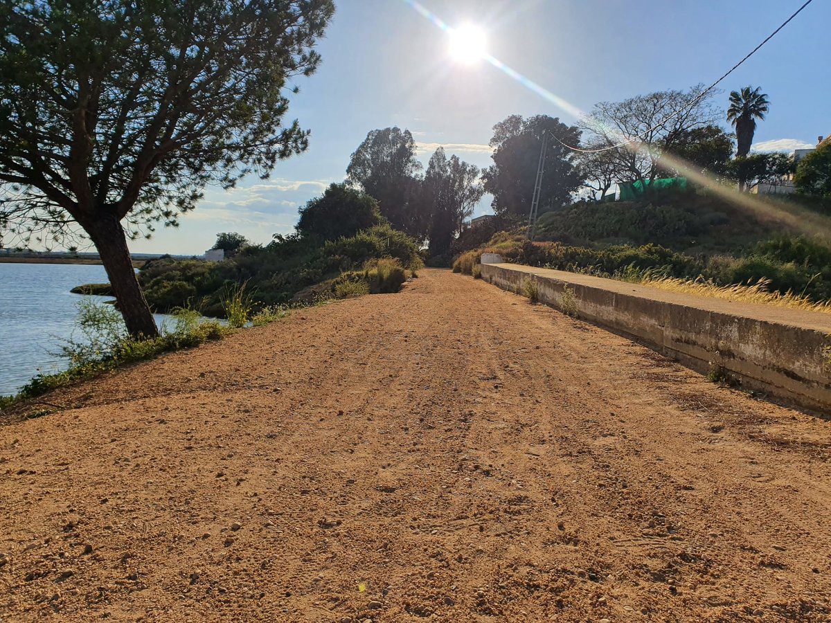 IslantillaDxts's tweet photo. 'Islantilla en Ruta', Vía Verde Litoral-Molino de Mareas.

En el Paraje Natural Marismas de Isla Cristina con gran diversidad ornitológica, vías del Antiguo ferrocarril y sus infraestructuras.

Sábado 14 de Mayo.

+ Info e inscripciones:
https://t.co/ssk593UKiC #DNVíasVerdes2022 https://t.co/N1VSRUnZ6u