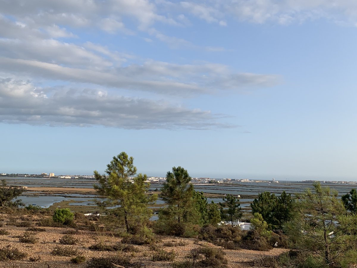 IslantillaDxts's tweet photo. 'Islantilla en Ruta', Vía Verde Litoral-Molino de Mareas.

En el Paraje Natural Marismas de Isla Cristina con gran diversidad ornitológica, vías del Antiguo ferrocarril y sus infraestructuras.

Sábado 14 de Mayo.

+ Info e inscripciones:
https://t.co/ssk593UKiC #DNVíasVerdes2022 https://t.co/N1VSRUnZ6u