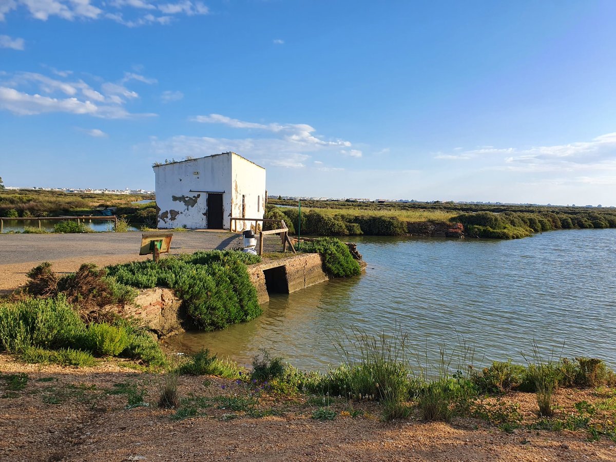 IslantillaDxts's tweet photo. 'Islantilla en Ruta', Vía Verde Litoral-Molino de Mareas.

En el Paraje Natural Marismas de Isla Cristina con gran diversidad ornitológica, vías del Antiguo ferrocarril y sus infraestructuras.

Sábado 14 de Mayo.

+ Info e inscripciones:
https://t.co/ssk593UKiC #DNVíasVerdes2022 https://t.co/N1VSRUnZ6u