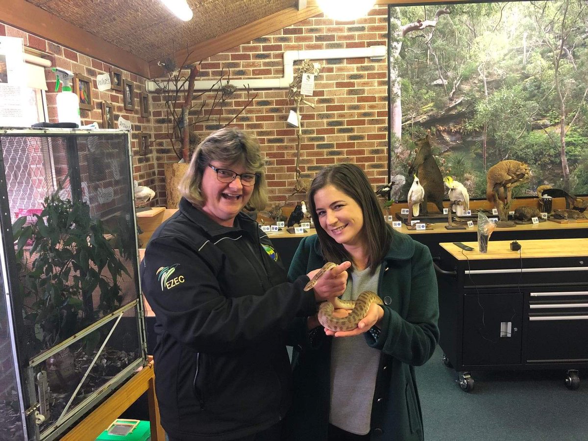 imannaevans's tweet photo. This is what happens when you have a meeting at Georges River Environmental Education Centre! @JulieOverton01 https://t.co/J8nWCzmsVd