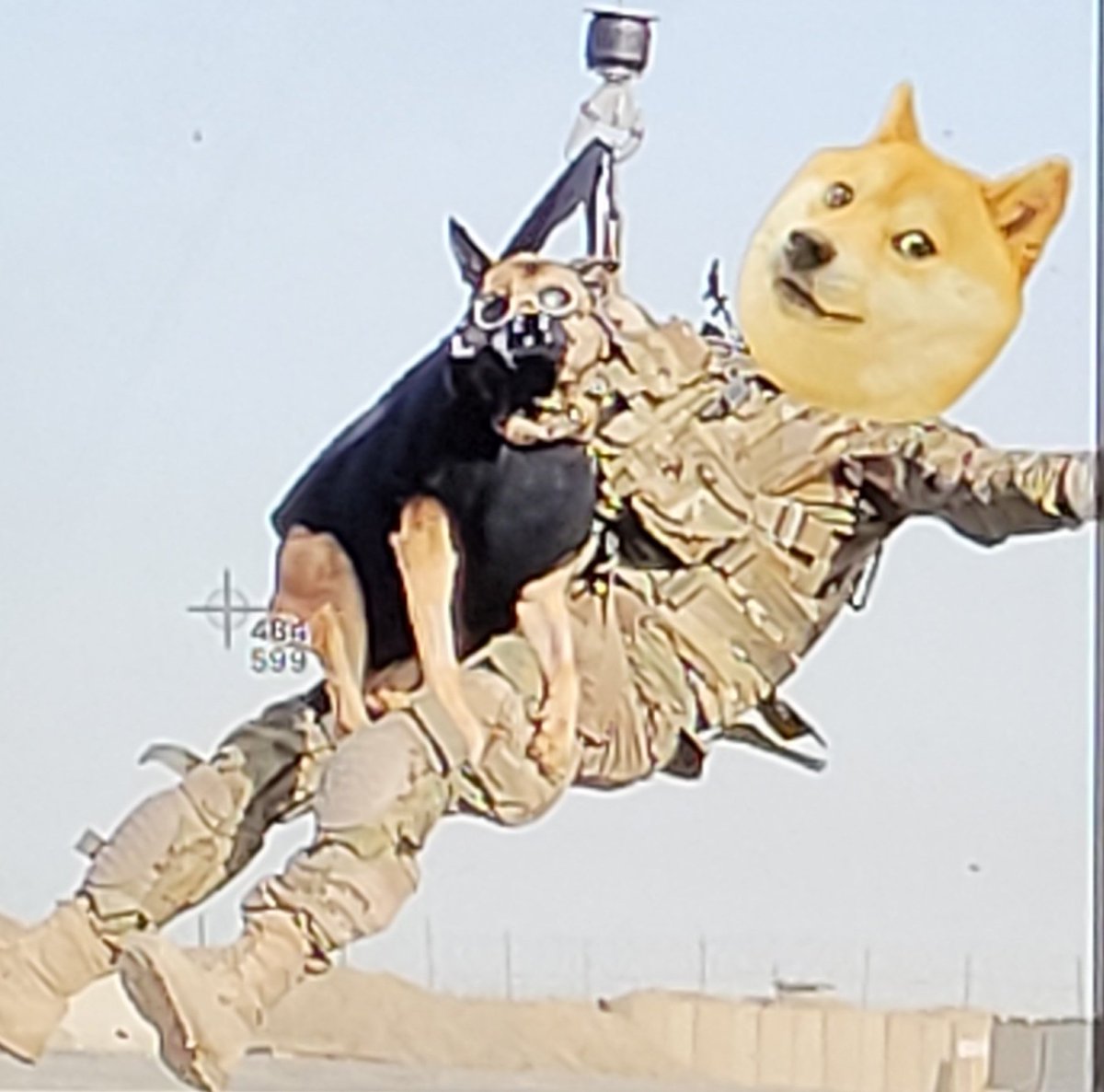 MC_DEVILDOC8425's tweet photo. If Russia Fks with Elon, Putin might find the actual #dogeArmy, #dogeNavy #dogeMarines and #dogeAirforce vets come together and infiltrate and take out who wants to try to hurt the #Dogefather, they can't stop a lone #Doge or a pack. Forgetaboutit.
#ProtectMusk @elonmusk https://t.co/ZueyjoHZmy