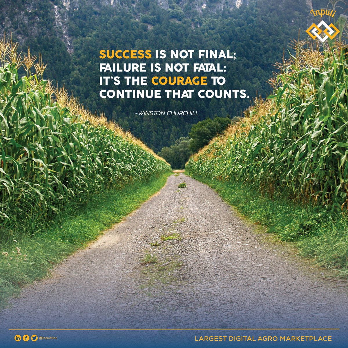 InputiINC's tweet photo. Difficult situations kill individual vitality and slow down progress at work. That said, it’s important to get some motivation to be more productive at what you do! From all of us at Inputi, have a productive week🛠️🪚🦾#DigitalAgriculture #MondayInspirations https://t.co/RcAgJdCj7j