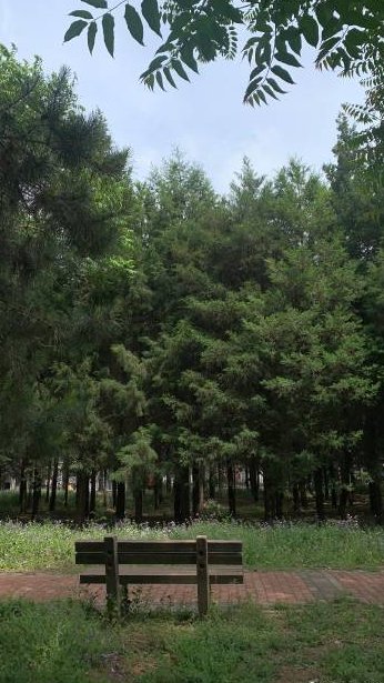 BreedenNeal's tweet photo. 毁灭吧赶紧的 https://t.co/7PhlVi5bpp