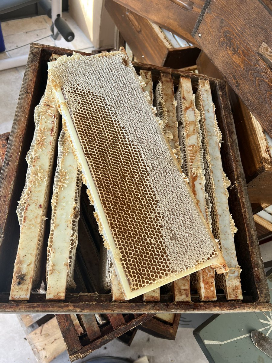 beesinbrittany's tweet photo. Off to the extraction room. Late one last night, imagine the same tonight! However good news so far. Most is coming out the frames just fine! Starting my 6th barrel!! I may make 7 but let’s not get too excited just yet!! 😃🐝🙌 https://t.co/YI95t4UnGz