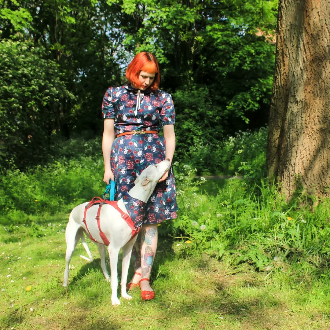 BrackenAndPaws's tweet photo. Yesterday I inflicted a #MatchyMatchy  #MotherAndDaughter photoshoot on #AnnieTheGalga 🌿🐾
I made my dress from some #LadyFace and #DangerNoodle 🐍 fabric which I purchased pre-pandemic.  🖤
The bandannas are in the shop now 🖤
.
#BrackenAndPaws
#BrackenAndPawsInSpringtime https://t.co/YgP4hfAeik