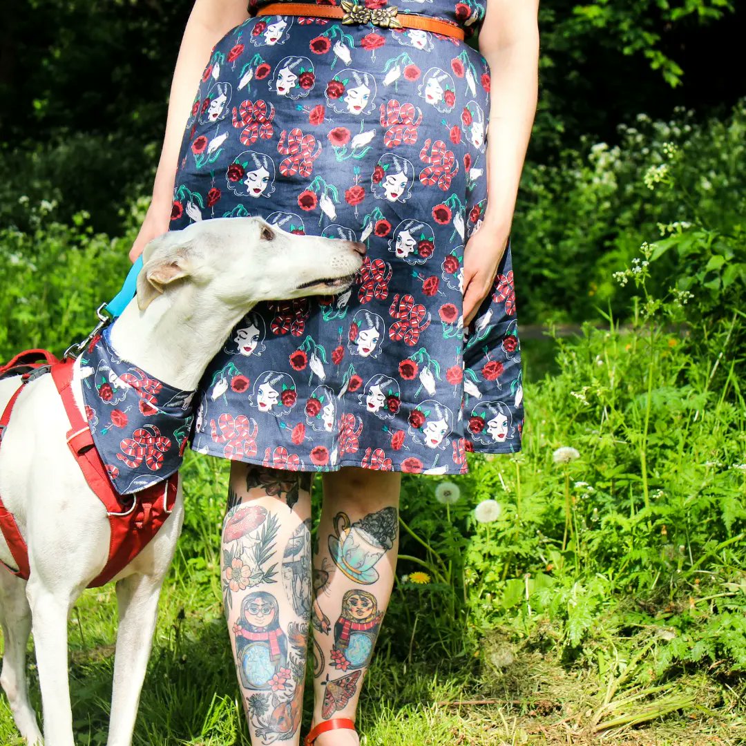 BrackenAndPaws's tweet photo. Yesterday I inflicted a #MatchyMatchy  #MotherAndDaughter photoshoot on #AnnieTheGalga 🌿🐾
I made my dress from some #LadyFace and #DangerNoodle 🐍 fabric which I purchased pre-pandemic.  🖤
The bandannas are in the shop now 🖤
.
#BrackenAndPaws
#BrackenAndPawsInSpringtime https://t.co/YgP4hfAeik
