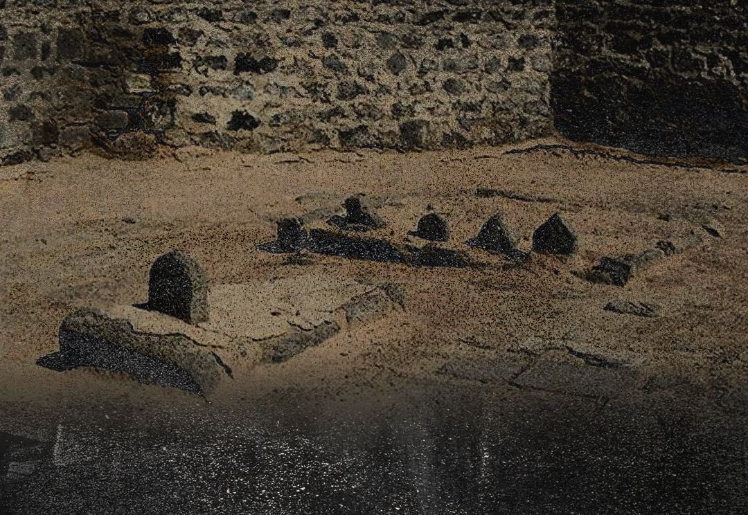 مدارسُ آياتٍ خلت من تلاوةٍ