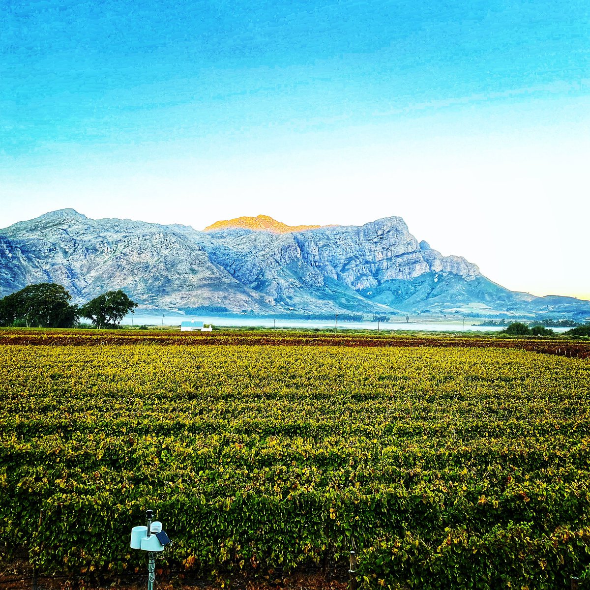AKKERDAL's tweet photo. Vanoggend met #sunrise het die mis wit oor die Bergrivier gehang want dit was n lekker chilled oggend van 5.80 grade begin met goeie cold 🥶 units dat wingerd in dormansie kan gaan #coldunits #changeofseasons #akkerdalvinyards #weatherstation #farmingforthefuture #franschhoek_sa https://t.co/baU63h29yb