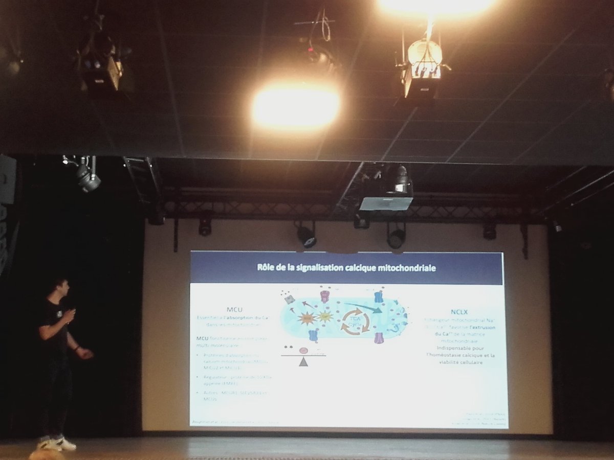 Inserm_N2C's tweet photo. Intervention de Maxime Guéguinou @Inserm_N2C @Inserm au 11ème colloque Meetochondrie à Lège Cap-Ferret. Beaux échanges en perspective #mitochondrie #calcium #pathologies #métabolisme #NCLX #MCUC #biochimie_structurale #stress_oxydant #cancer https://t.co/FP3dcNkDrI