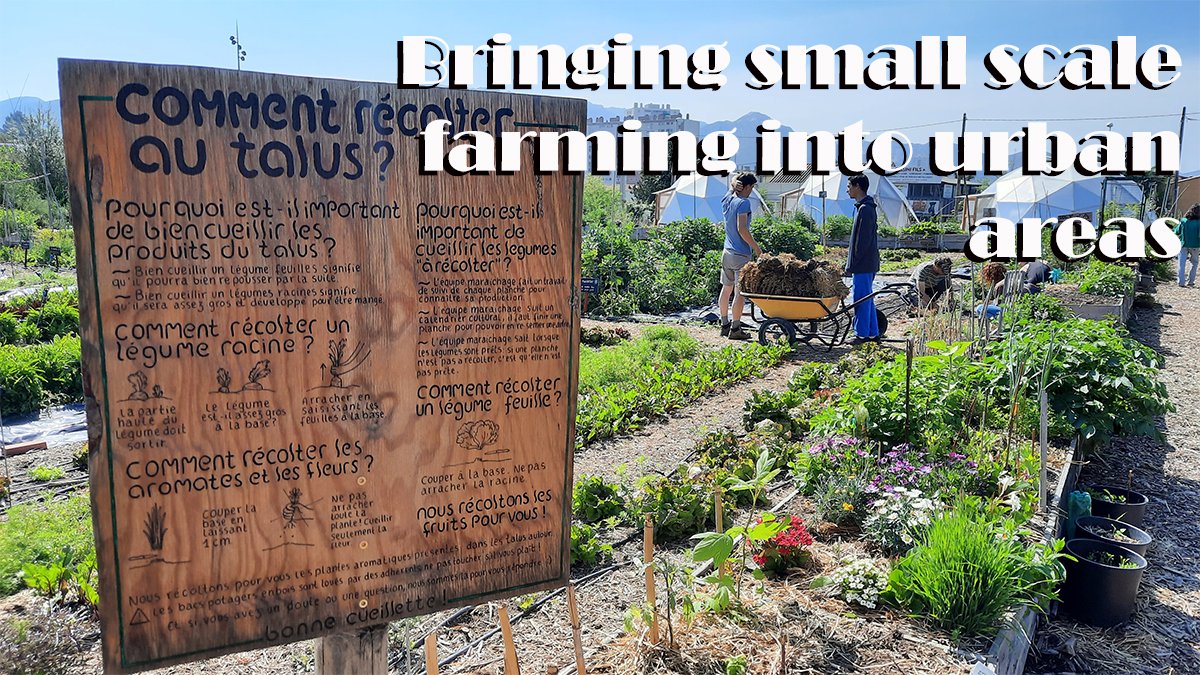 EuropeCECI's tweet photo. One of the @EuropeCECI  site visits was to @leTalusMarseille - an example of successful non-profit organisation in #Marseille #France hosting an #urbanfarm providing an environment for citizens to practice gardening &amp; recycling. Read more: https://t.co/iTEDuCPAyN
@interregeurope https://t.co/K0sBlXIyIy