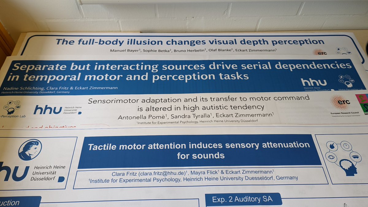 Motor-Perception Lab tweet media