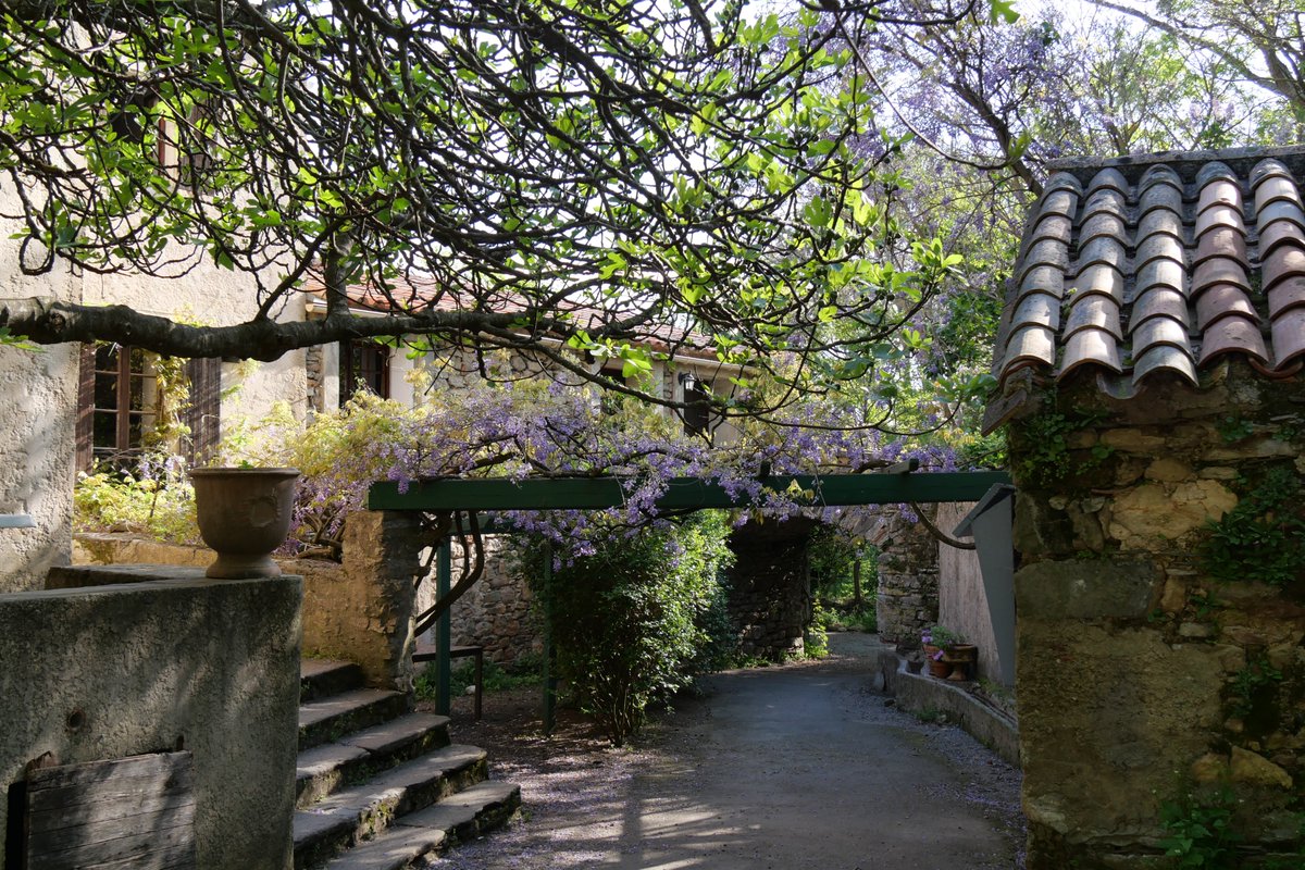 AveySarah1's tweet photo. Domaine de Lacan près de #Béziers. Un petit coin de verdure pour se ressourcer.
#weekendsympa #MagnifiqueFrance #BaladeSympa #Hérault #Occitanie https://t.co/TW8fPUtMwj