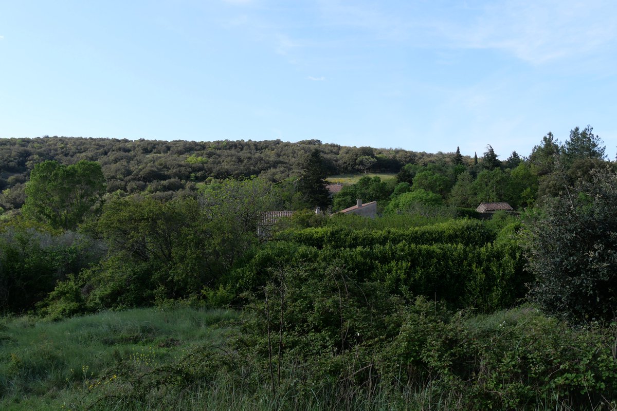 AveySarah1's tweet photo. Domaine de Lacan près de #Béziers. Un petit coin de verdure pour se ressourcer.
#weekendsympa #MagnifiqueFrance #BaladeSympa #Hérault #Occitanie https://t.co/TW8fPUtMwj