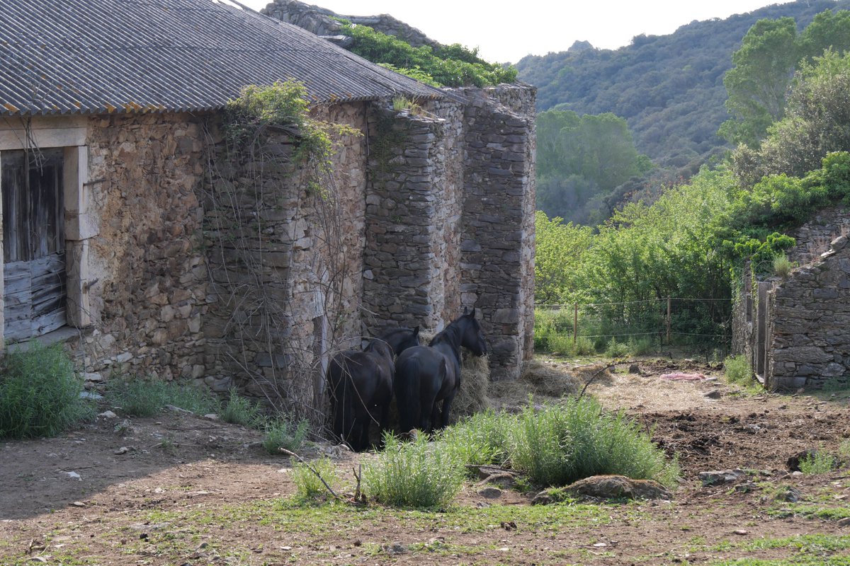 AveySarah1's tweet photo. Domaine de Lacan près de #Béziers. Un petit coin de verdure pour se ressourcer.
#weekendsympa #MagnifiqueFrance #BaladeSympa #Hérault #Occitanie https://t.co/TW8fPUtMwj