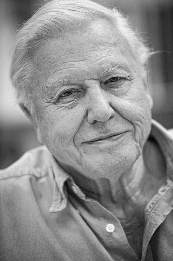frpaddybyrne's tweet photo. Happy 96th birthday to this wonderful man! #DavidAttenborough. https://t.co/gY0tuVC6oM