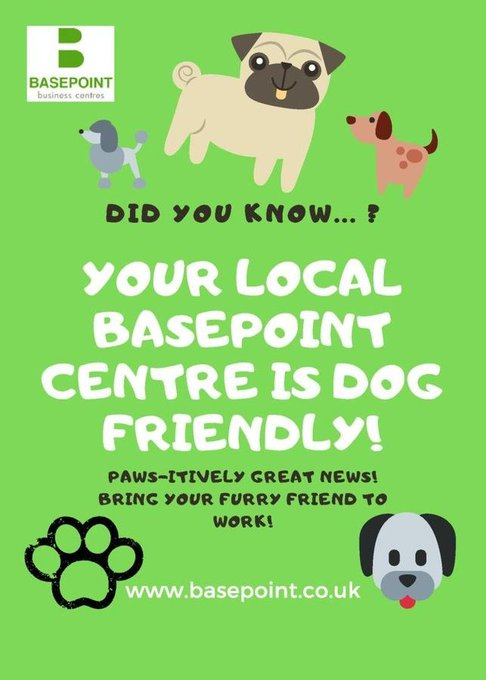 Basepoint Chatham tweet media