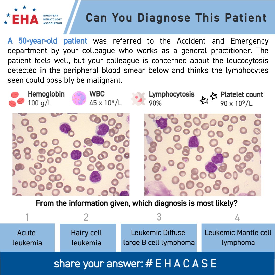 European Hematology Association tweet media