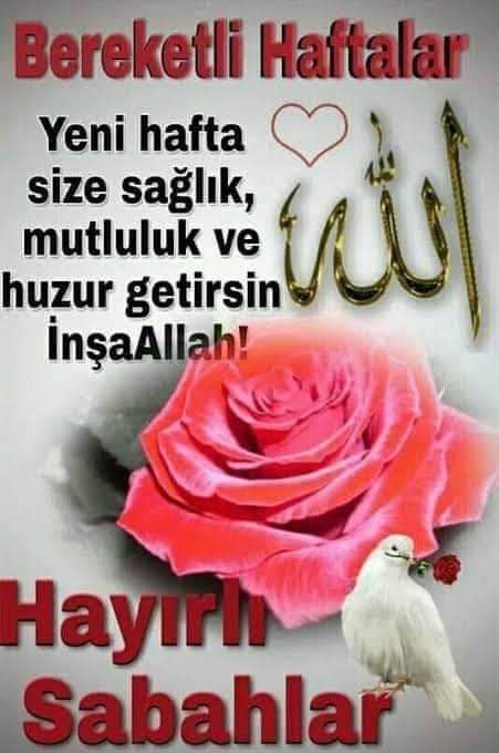 m 4 d E n L i (@madenlidogan) on Twitter photo 