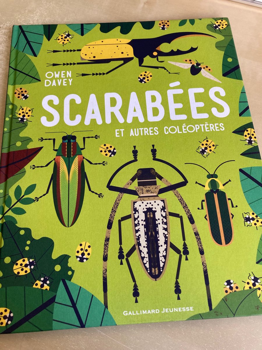 Clara Dealberto tweet media