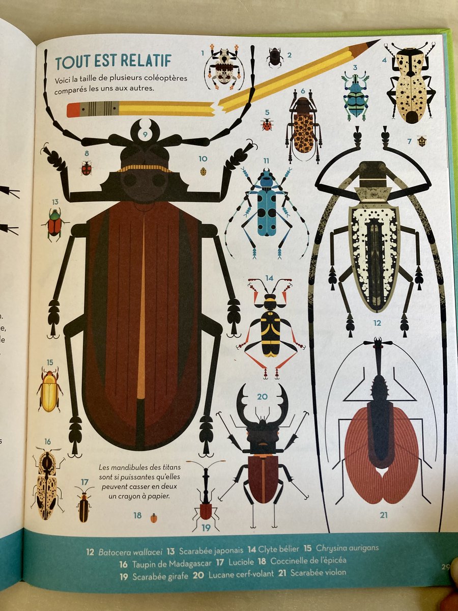 Clara Dealberto tweet media