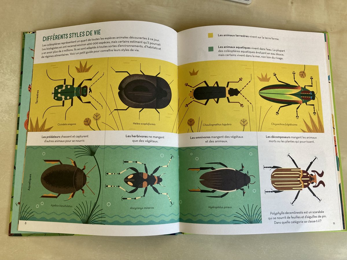 Clara Dealberto tweet media