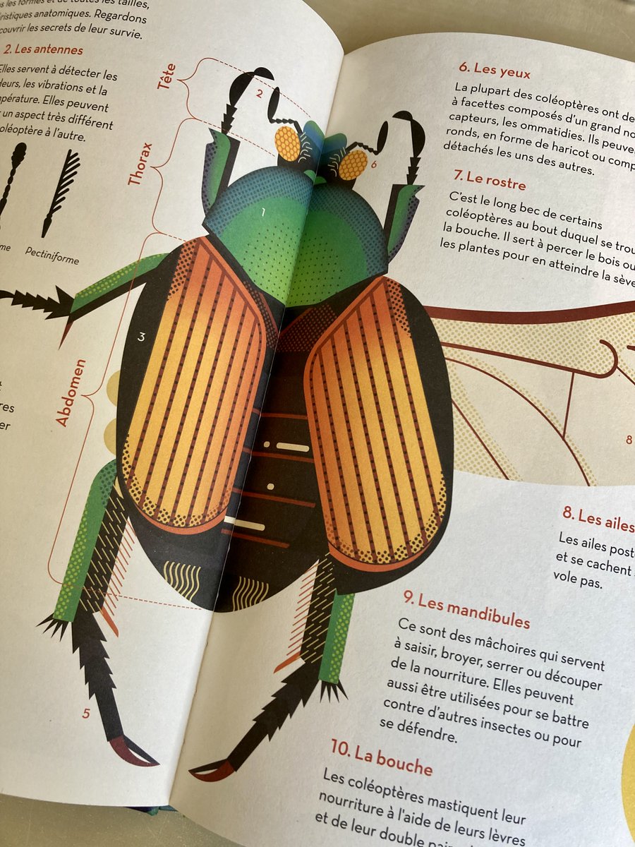 Clara Dealberto tweet media