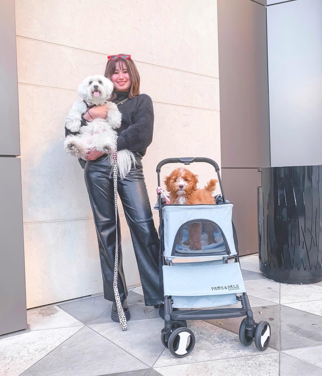 francheskamish's tweet photo. My whole world ✨ Love being a dog mama to these two 💗 https://t.co/jQliox3C4L