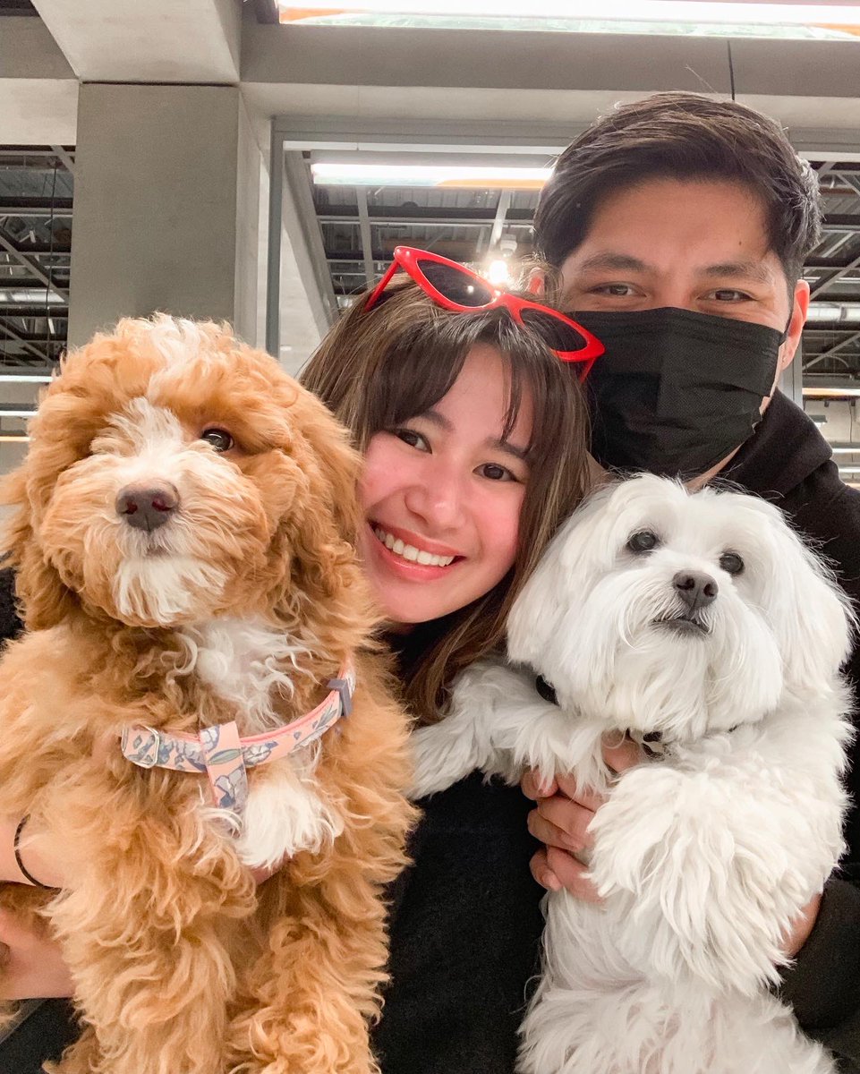 francheskamish's tweet photo. My whole world ✨ Love being a dog mama to these two 💗 https://t.co/jQliox3C4L