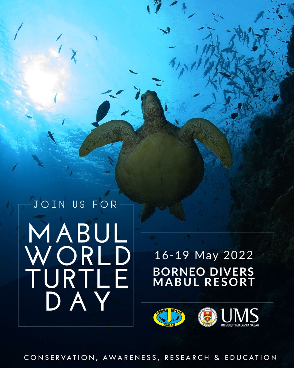 Borneo_Divers's tweet photo. https://t.co/pbOnKhbCGE