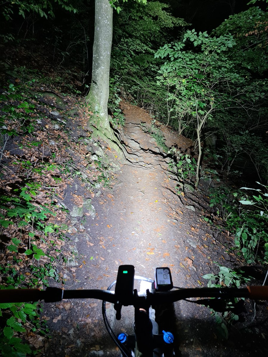 MagicshineL's tweet photo. Climbed on the top of this hill again at this golden moment-- time to have a night adventure with the Magicshine RN3000. π΄π»π€
πhttps://t.co/hbbGldfyVv
#magicshine #rn3000
#adventure #cyclinglife #cycling #bikelife #bike #mtblife
#mountainbiking #mountainbike #instacycling #mtb https://t.co/pNZNDLxtgd
