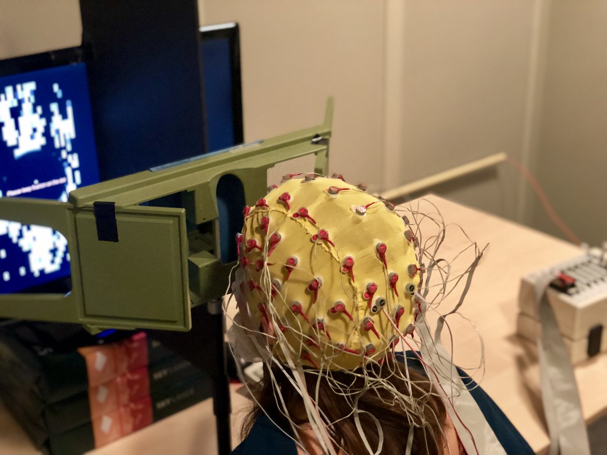 RubenLaukkonen's tweet photo. New paper! Something out of the box for me.

TRACKING RIVALRY WITH NEURAL RHYTHMS:
https://t.co/C9NJIvLITk

We quantify changes in perception during binocular rivalry using EEG at a ridiculously high level (up to r = .94). Here’s why it’s cool—a 🧵.  
@HeleenASlagter @healey_evan https://t.co/Yl48Bc6jiD
