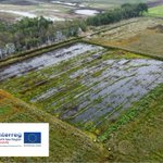 Restoring nature’s carbon sink, peat bogs, helps the #environment. The @NorthSeaRegion #CANAPE project is utilizing things like ‘wet #farming’ to combine #agriculture and #wetlands without one coming at the expense of the other. Learn more 👇

#interreg

https://t.co/Kz04hmAlhz 