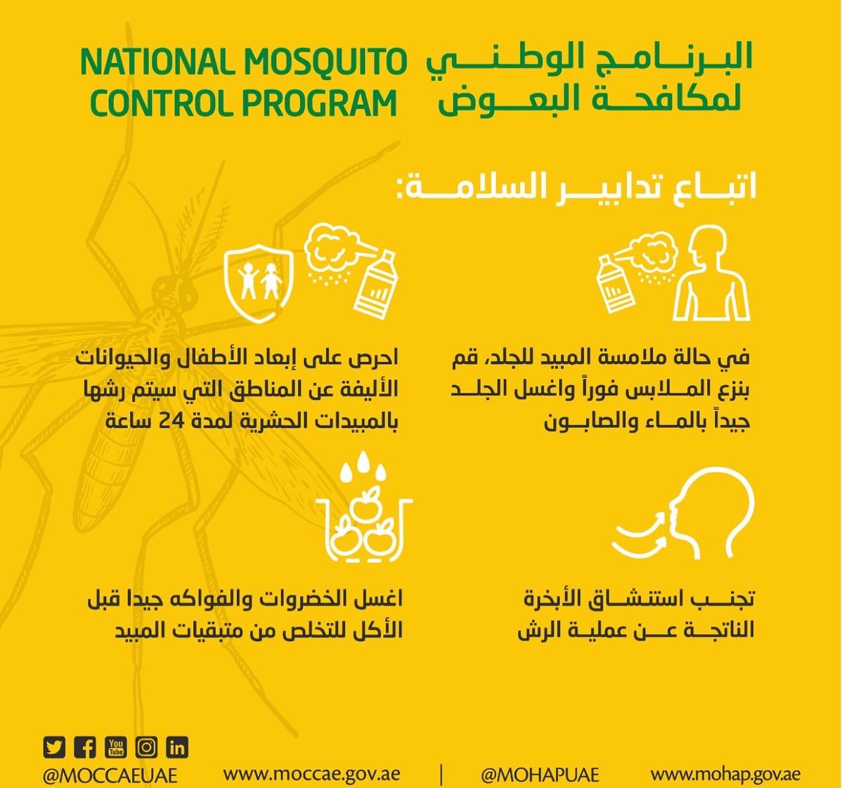 ShjMunicipality's tweet photo. https://t.co/qGXTiNtei6