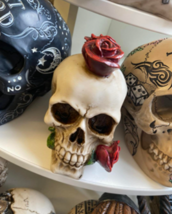 CornmillCentre's tweet photo. ๐Just landed๐
Explore the new Nemesis collection at Cardzone!!โ ๏ธ
#shopcornmill #lovedarlo #shoplocal #skulls #shoplocal #cardzone #gifts https://t.co/uZn79WoEfP
