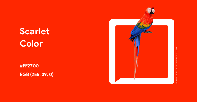 EnsColorClub's tweet photo. FF2400.eth Scarlet Color price Ξ~
Owner @senasgr
#ENS #EnsColorClub #NFT #HexColor #Color #Scarlet https://t.co/u9ezWA8bh8