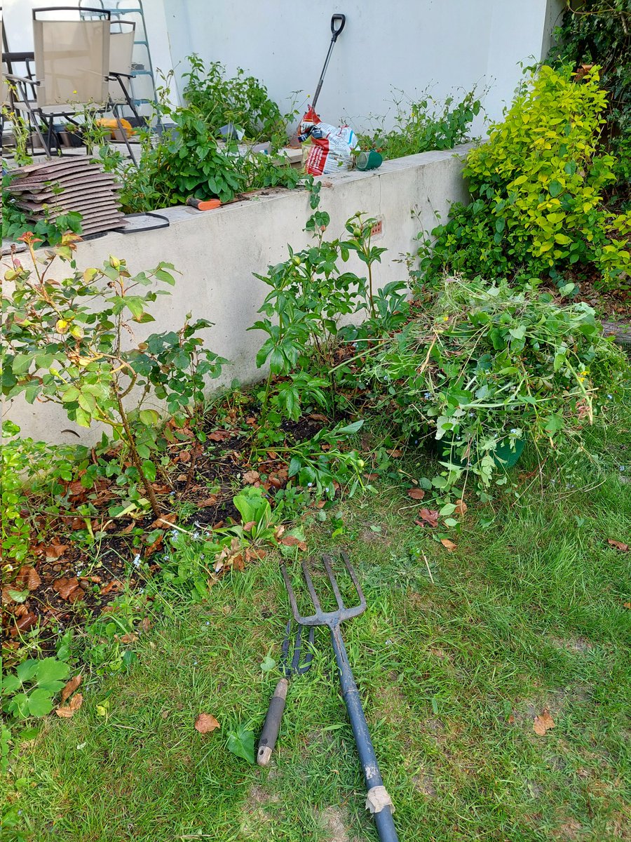 In #MentalHealthAwarenessWeek I am glad to notice I have regained my desire to garden. It means I'm in a good place. Gardening for me is related to my parents,when my dad died, I couldn't face it. I'm now reclaiming the garden after 4 years of neglect