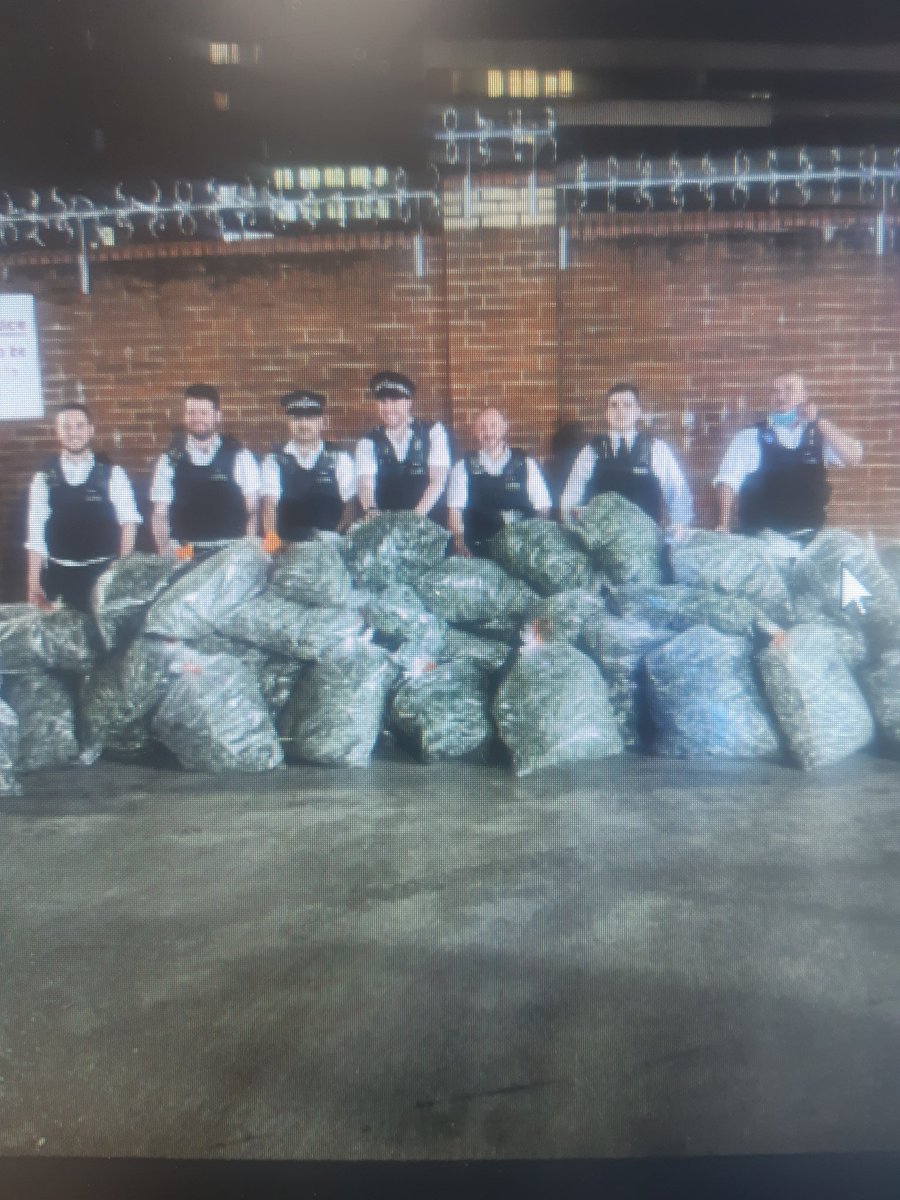 MPSChislehurst's tweet photo. On Wednesday officers from the Chislehurst police team took part in a warrant on an address where a total of £1.5 million of cannabis was seized https://t.co/LvapLJohK6