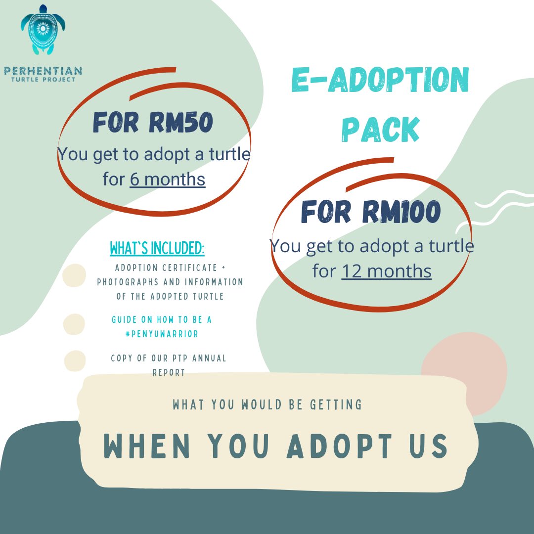 PTP_MY's tweet photo. We’re relaunching our Adopt-A-Turtle Campaign! 🐢💚

If you’ve always wanted to do more for the sea turtles, here’s your chance! Adopt any of our 7 popular turtles (or all of them 🤭) for RM50 or RM100, and you’ll be helping us make a difference ✨ https://t.co/HvxLFzyg02