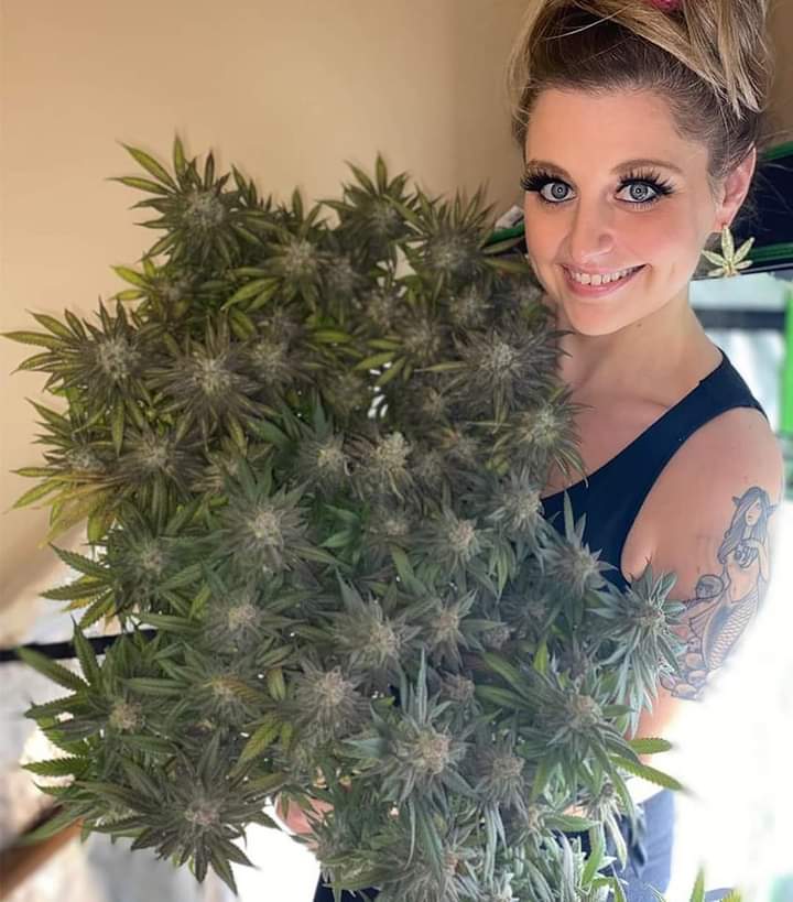 Ethical Soul tweet media