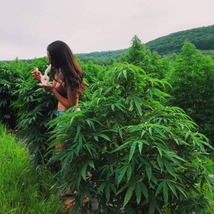 Ethical Soul tweet media