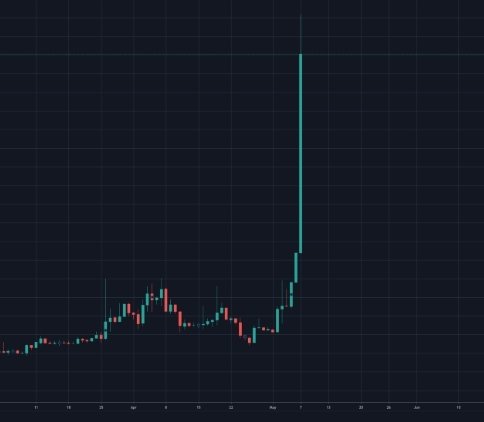bitcoinlfgo's tweet photo. When u market your new tokens with bitcoinlfg and 5 million+ investors see your project ---- hurry dm us to know more 
#BSCGem #eth #cro https://t.co/OeDuHSMdBE