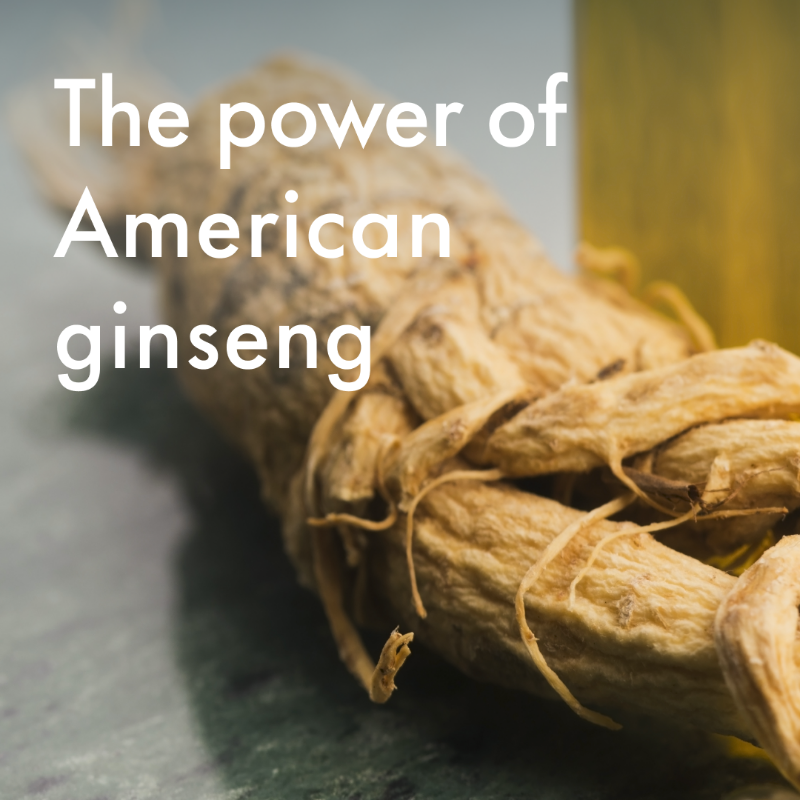 Givaudan's tweet photo. Givaudan's botanical ingredients for relaxation unlock the best of nature. As part of our Health Essentials offer, discover Cereboost®, our patented adaptogen which calms the mind and improves mood.
#GivaudanFoodExperiences #ImmunityAndRelaxation
