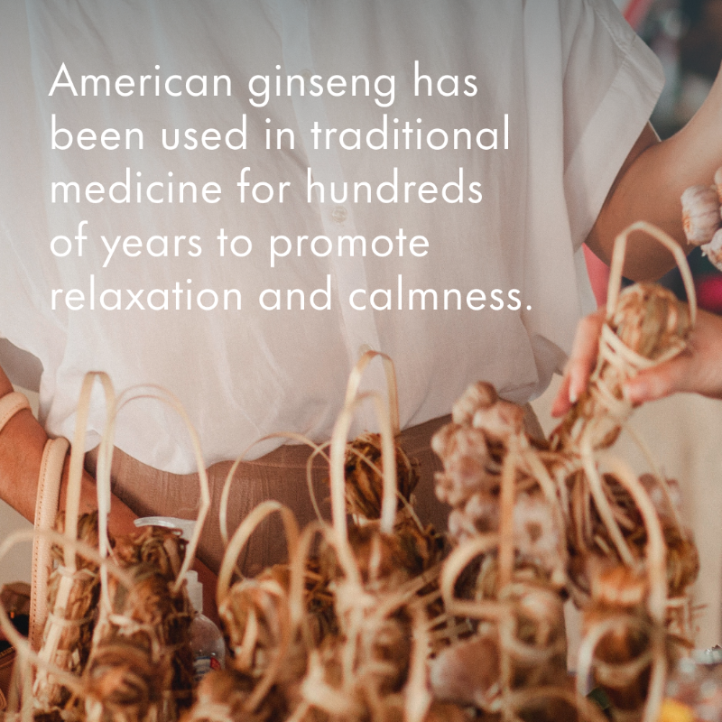 Givaudan's tweet photo. Givaudan's botanical ingredients for relaxation unlock the best of nature. As part of our Health Essentials offer, discover Cereboost®, our patented adaptogen which calms the mind and improves mood.
#GivaudanFoodExperiences #ImmunityAndRelaxation