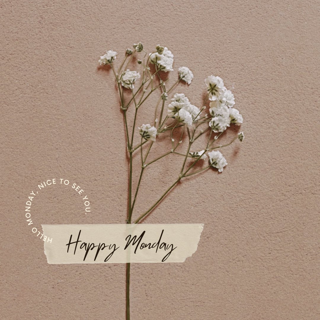Newtownhousing's tweet photo. Happy Monday future home owners!🏡✨ https://t.co/S5jJjnrIZp