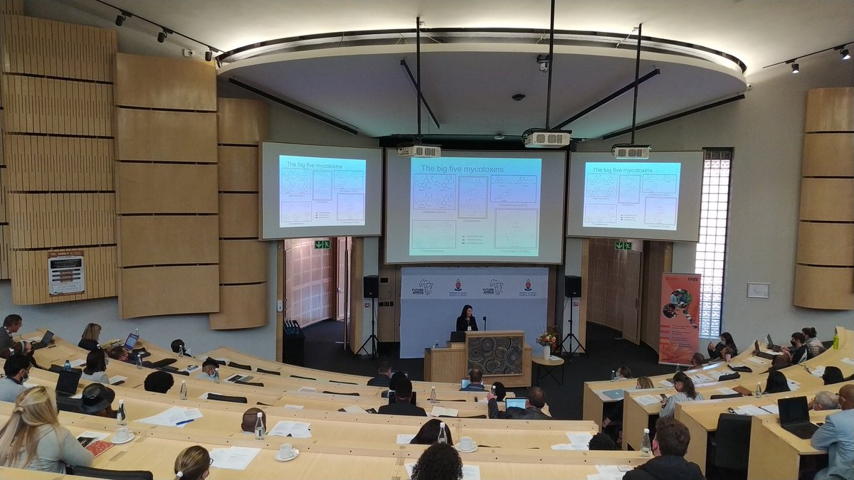 Fabiteam1's tweet photo. FABI's Dr @nerimanyilmaz82 talks about the diversity of mycotoxigenic fungi and their mycotoxins in South Africa.
#CPHB2022
@ResearchUP @UPPlantAndSoil @UPnasagric @FutureAfricaUP https://t.co/hpSUqqNtdw