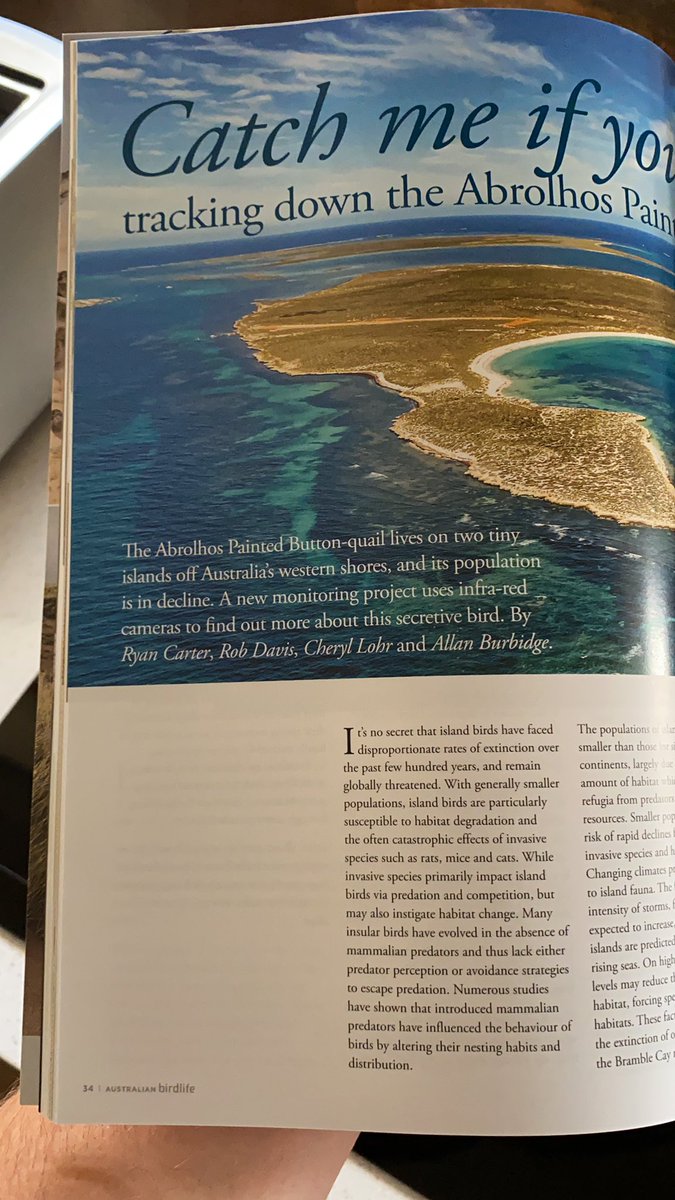 Our article has been published in the latest edition of the <a href="/BirdlifeOz/">BirdLife Australia</a> magazine <a href="/Dr_Rob_Davis/">Rob Davis</a>