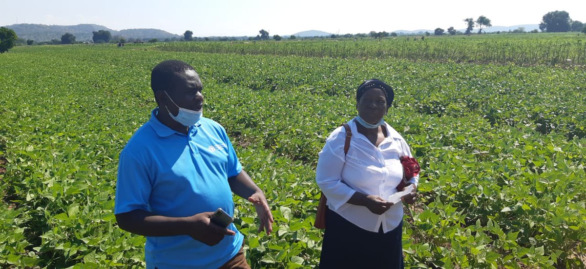 UNOPS_Zimbabwe's tweet photo. We are happy to be hosting a delegation from @WorldBank who are monitoring recovery and resilience projects in Cyclone Idai affected districts under the @ZIRP_Zimbabwe. Lots of lives have been transformed and livelihoods restored under the project.
#WBMissionVisit https://t.co/jrqOxkc7v9