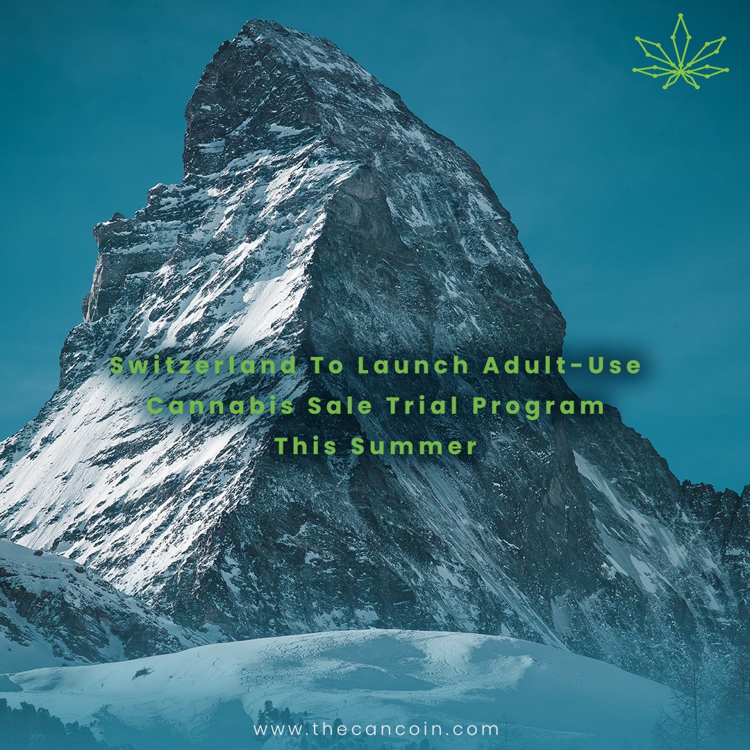 thecancoin's tweet photo. #Swiss authorities recognize widespread consumption and that the illegal market thrives. The launch of an adult-use #cannabis sale trial program may be the proper response to fight back against the illicit market and safeguard public health.
Read more here:https://t.co/VP8UCsfuvA https://t.co/TC65FRAVc9